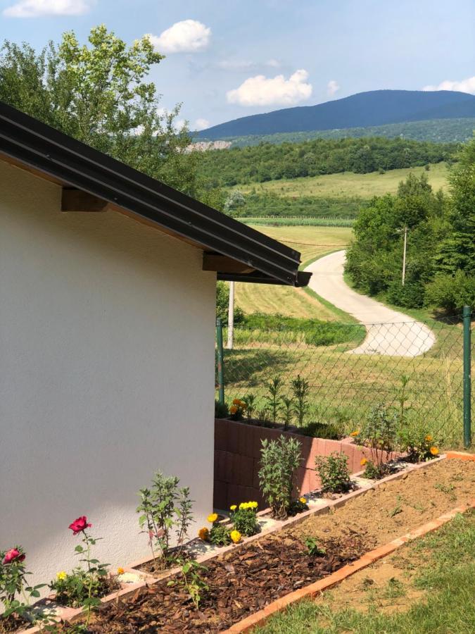 Studio Apartman Firdaus-Bihac, Dobrenica Bb Экстерьер фото