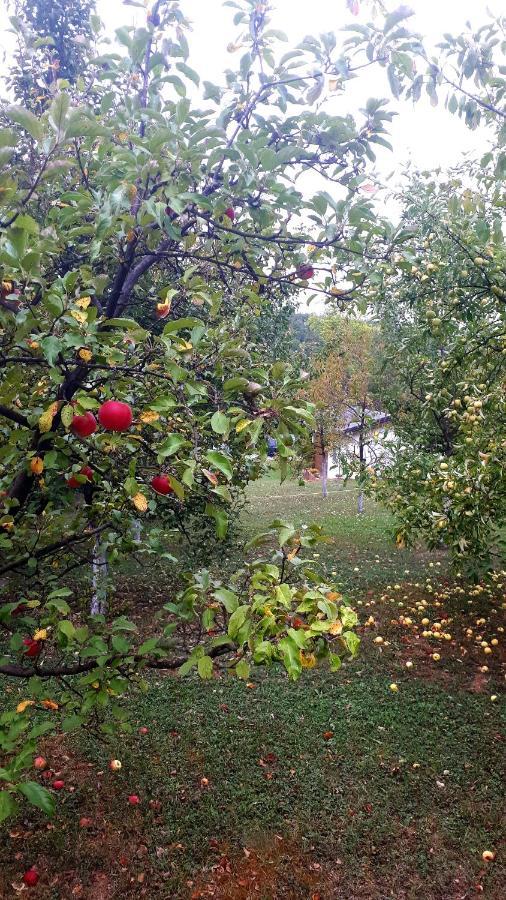 Studio Apartman Firdaus-Bihac, Dobrenica Bb Экстерьер фото