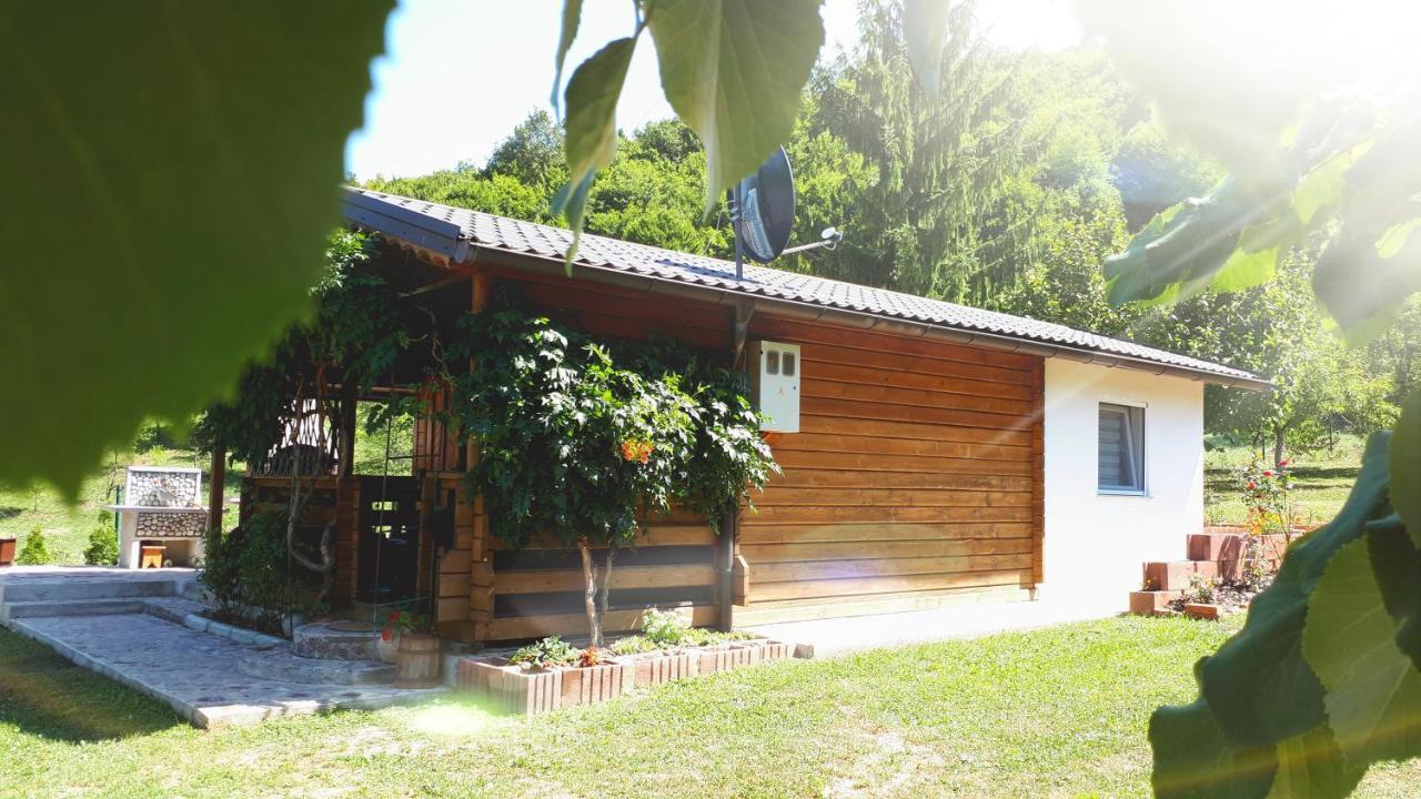 Studio Apartman Firdaus-Bihac, Dobrenica Bb Экстерьер фото